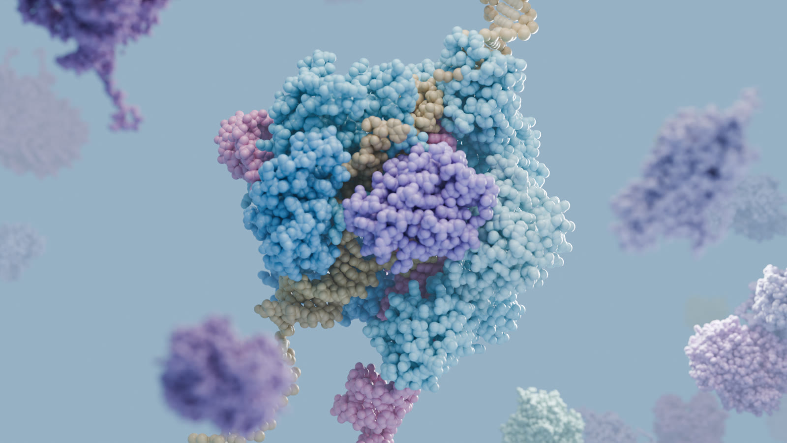 Rendu 3D de Cas9 et de son ARN guide sur l’ADN, atomes en sphères sur fond bleu clair